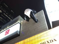 -都江堰中华大熊猫苑