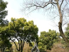 -上海市龙华烈士陵园