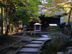 -醍醐寺