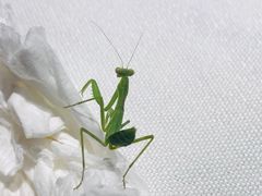 -印湘·剁椒鱼头(安宁庄店)