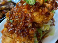 -屯屯面(海尔路店)