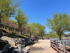 -永定河休闲森林公园