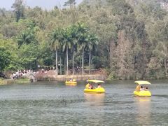 -星湖旅游景区七星岩