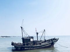 -日照海滨国家森林公园
