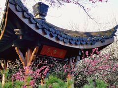 -杭州植物园