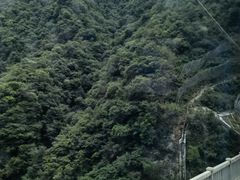 -神农架景区