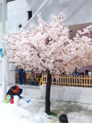 -Mr·Kuma酷么先生雪之乐园
