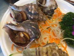 海螺肉-万宝海鲜舫(劳动公园店)