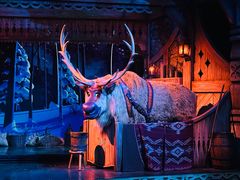 -巴黎迪士尼乐园