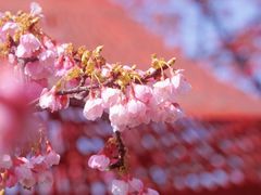 -上海市曹杨第二中学