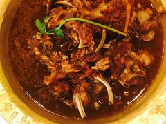 -芦月轩羊蝎子(北蜂窝店)