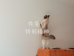 -宠福鑫动物医院(城北分院)