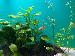 -上海海洋水族馆