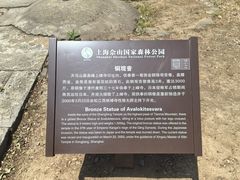 -上海佘山国家森林公园天马山园