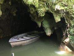 -怀托摩萤火虫洞