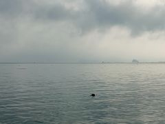 -大长山岛