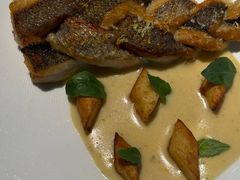 -Oyster Talks 四度蚝法餐厅