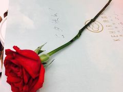 -麦德龙(郑东店)