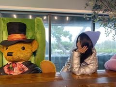 -济州岛泰迪熊博物馆