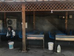 -亲兄弟真人CS团建拓展基地