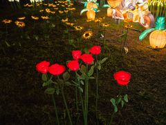 -琅岐红光湖公园