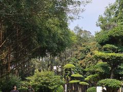 -南宁南湖公园