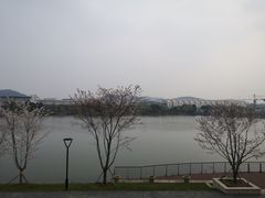 -羊山湖公园