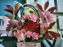 -玥悦母婴月子护理中心玥悦喜喜馆