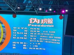 -海合安青岛极地海洋公园