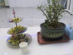 -苗医生0感祛痘连锁