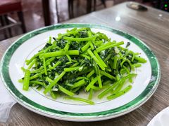 -林之六八·6886大连老菜馆