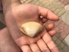 -南戴河国际娱乐中心