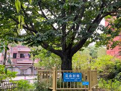 -陈李济中药博物馆