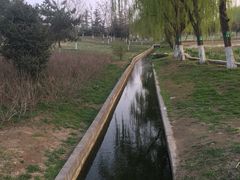 -西安浐灞国家湿地公园
