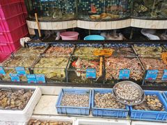 水产区-揭阳钟记小食(福田新村店)