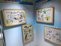 -上海昆虫博物馆