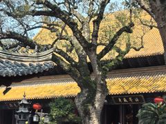 -普陀山慧济禅寺