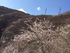 -焦作青龙峡风景名胜区