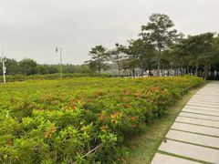 -深圳湾公园(南山区)