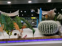 -圣罗巴甄选自助(麦凯乐店)