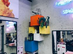 -SALON V