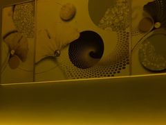 -丽晶大班SPA(大沽店)