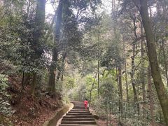 -缙云山景区
