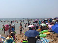 -北戴河庆山饭店·海鲜砂锅粥(北戴河黑石路店)