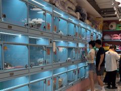 -FAELING PETS美天灵宠物(合生汇店)