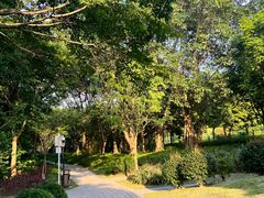 -东莞植物园