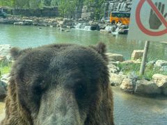 -北京野生动物园