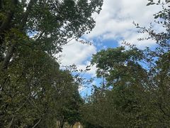 -昆山城市生态森林公园