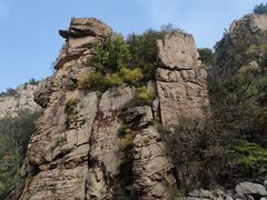 -崂山九水游览区