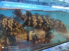 -南海渔家•海鲜•正宗海南菜(海棠湾店)